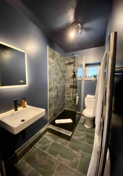 Stylish Studio For 3 Near Regents Park N4 Londres Extérieur photo