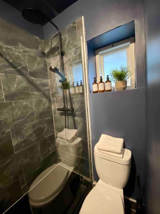 Stylish Studio For 3 Near Regents Park N4 Londres Extérieur photo